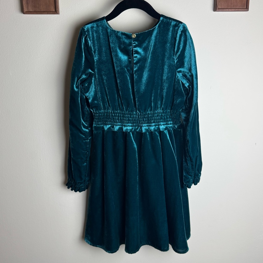 JCrew Forest Green Velvet Dress - Picture 2 of 6